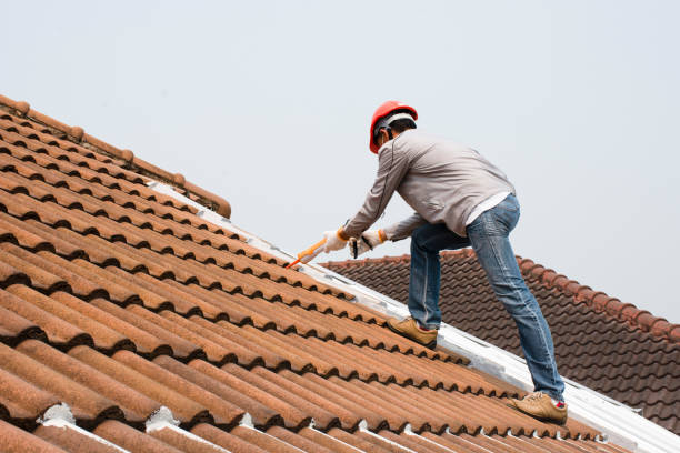 Best Storm Damage Roof Repair  in Hailey, ID
